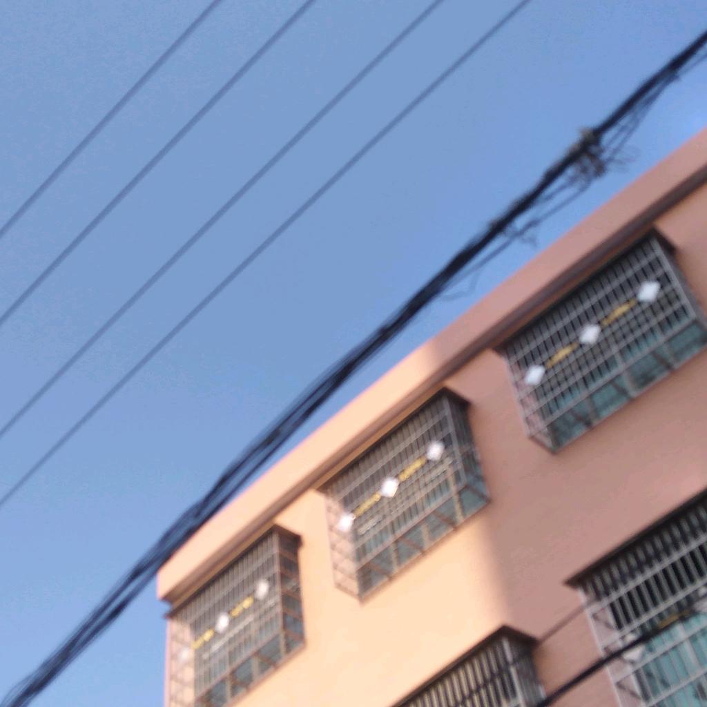 南阳市镇平县色选玉米，王雪彦粮贸。