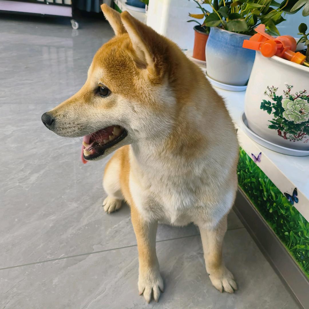 我亦守护