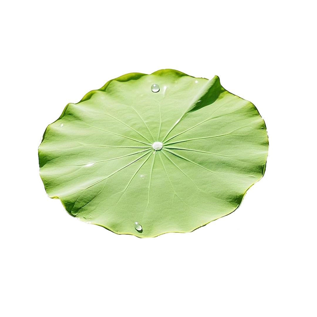 意中人