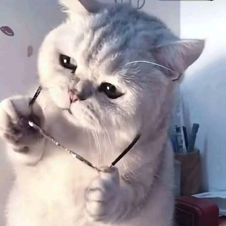 王稀奇