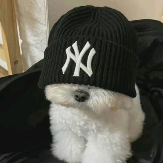 bo