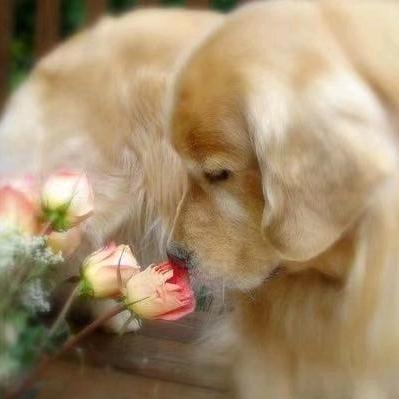 小李欢乐喜剧人