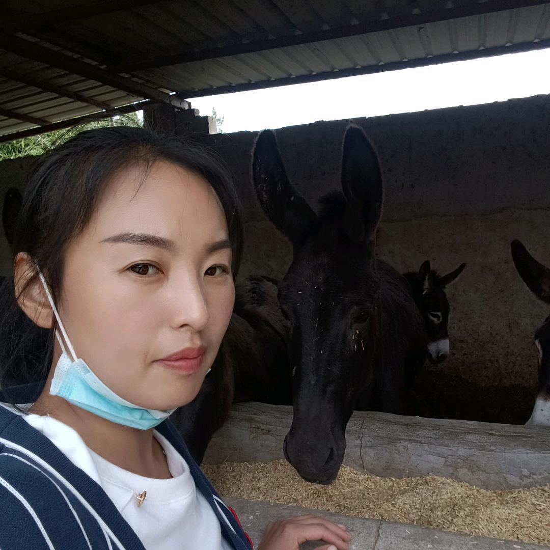 姬家驴肉官方号