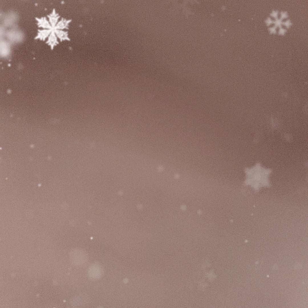 爱妮莎百货