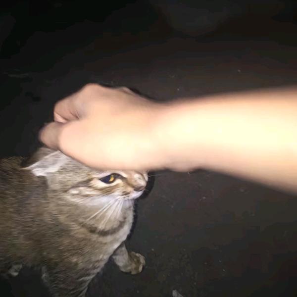 老公站街我数钱