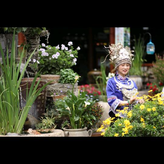 秦御风情