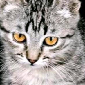 我：四哥（此号已下山）