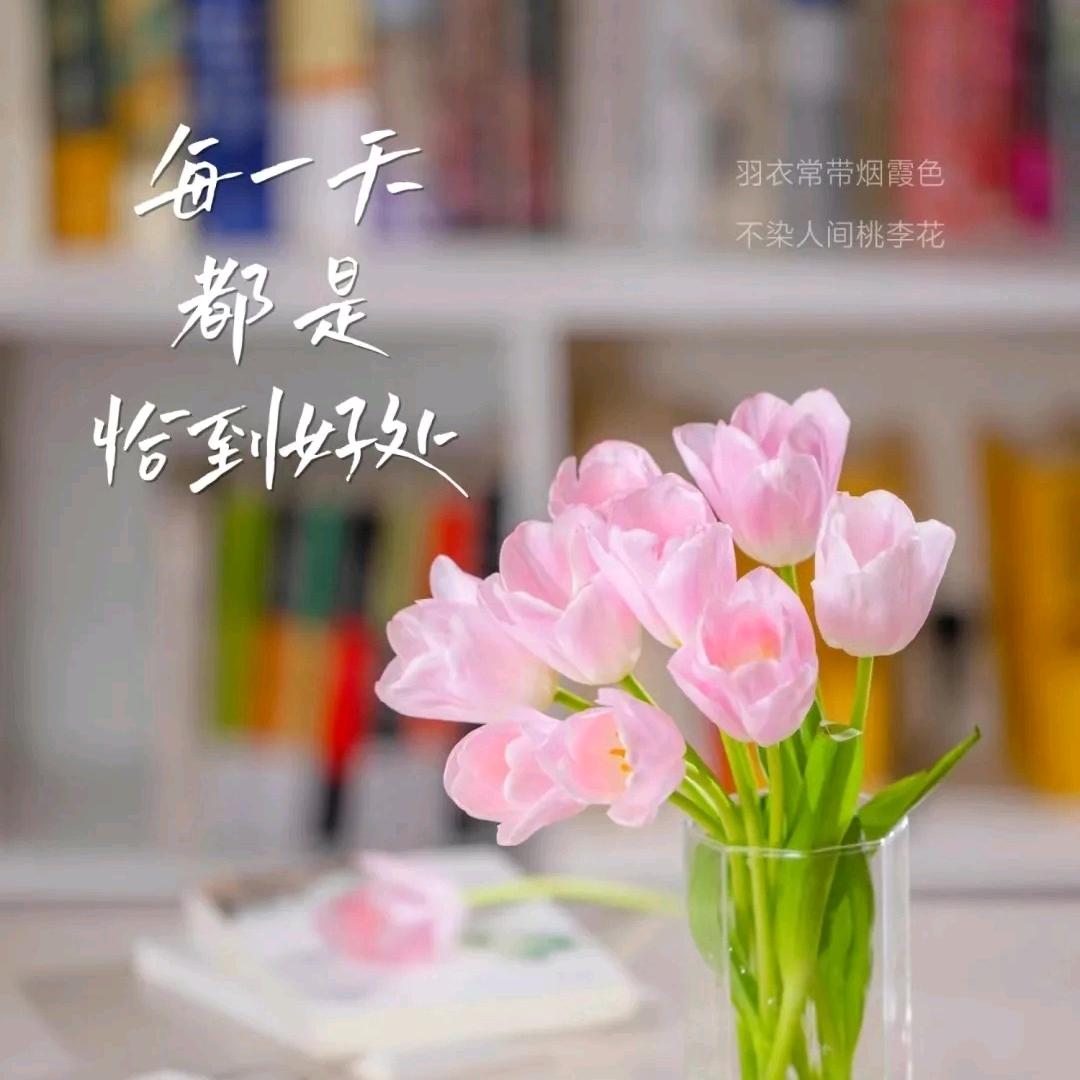 顺妈敏爸