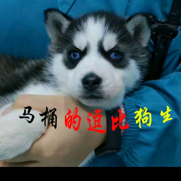 严锦康