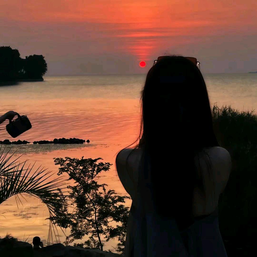 ﹠… 网易云🐬
