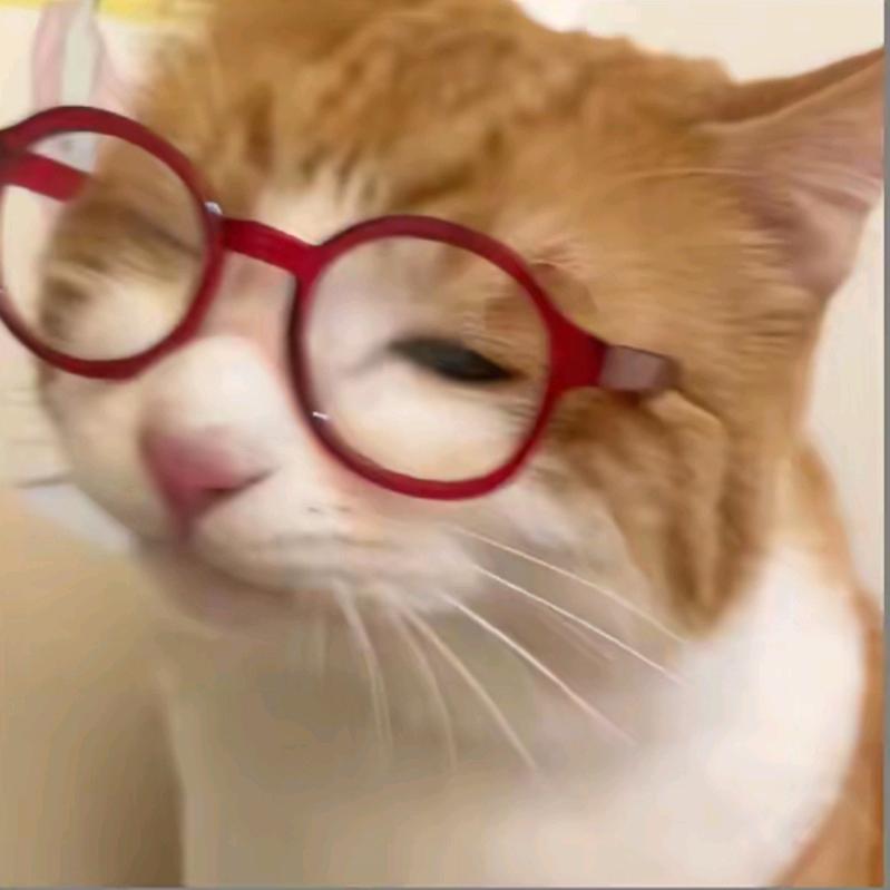 快乐小甜饼