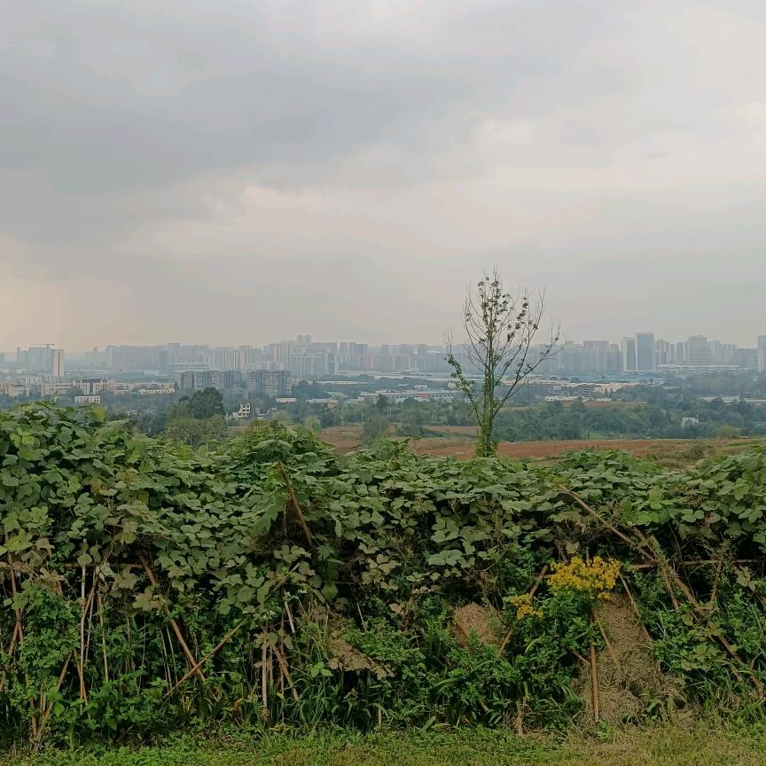 晨晨棒棒的《照片书定制》