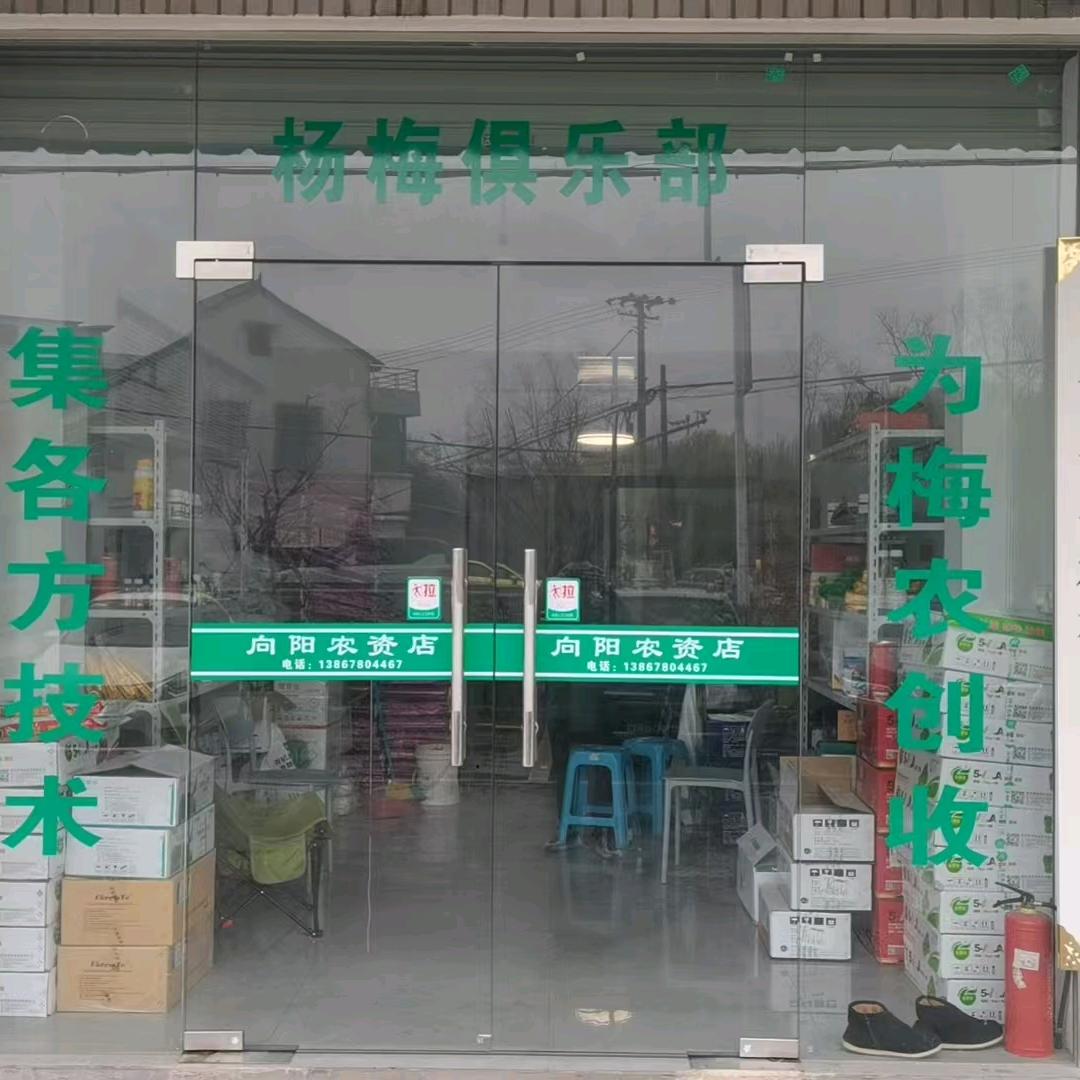 向阳（杨梅种植技术研究所）