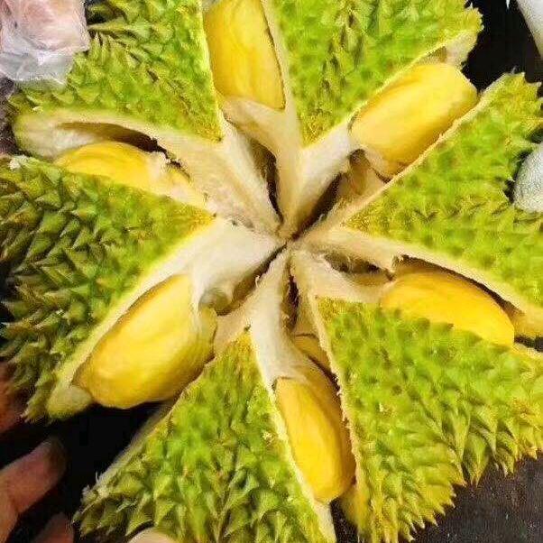 迟来的爱