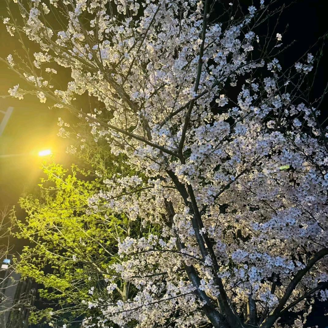 煙誮洅躾👙鈈濄橓間