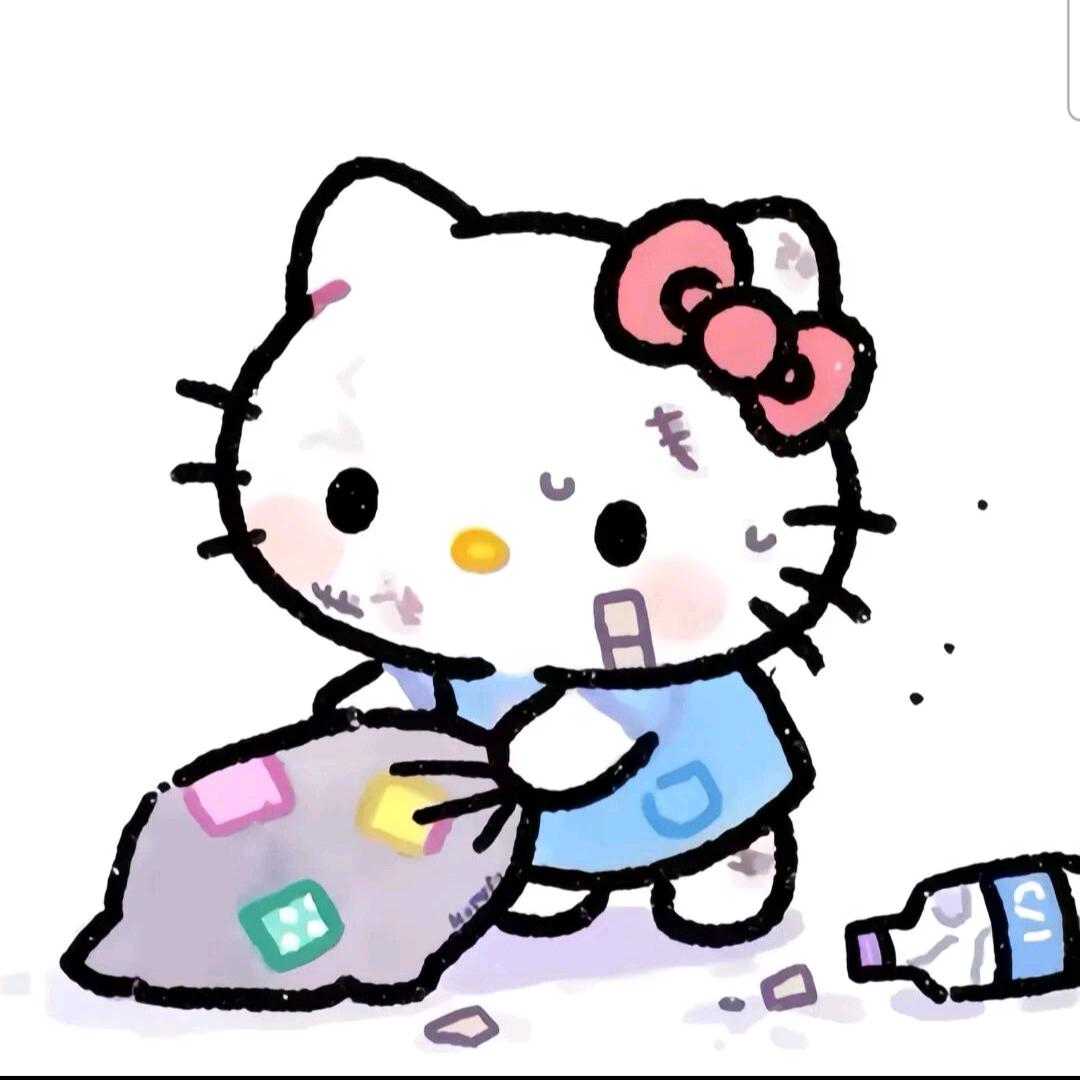 会飞的拖鞋