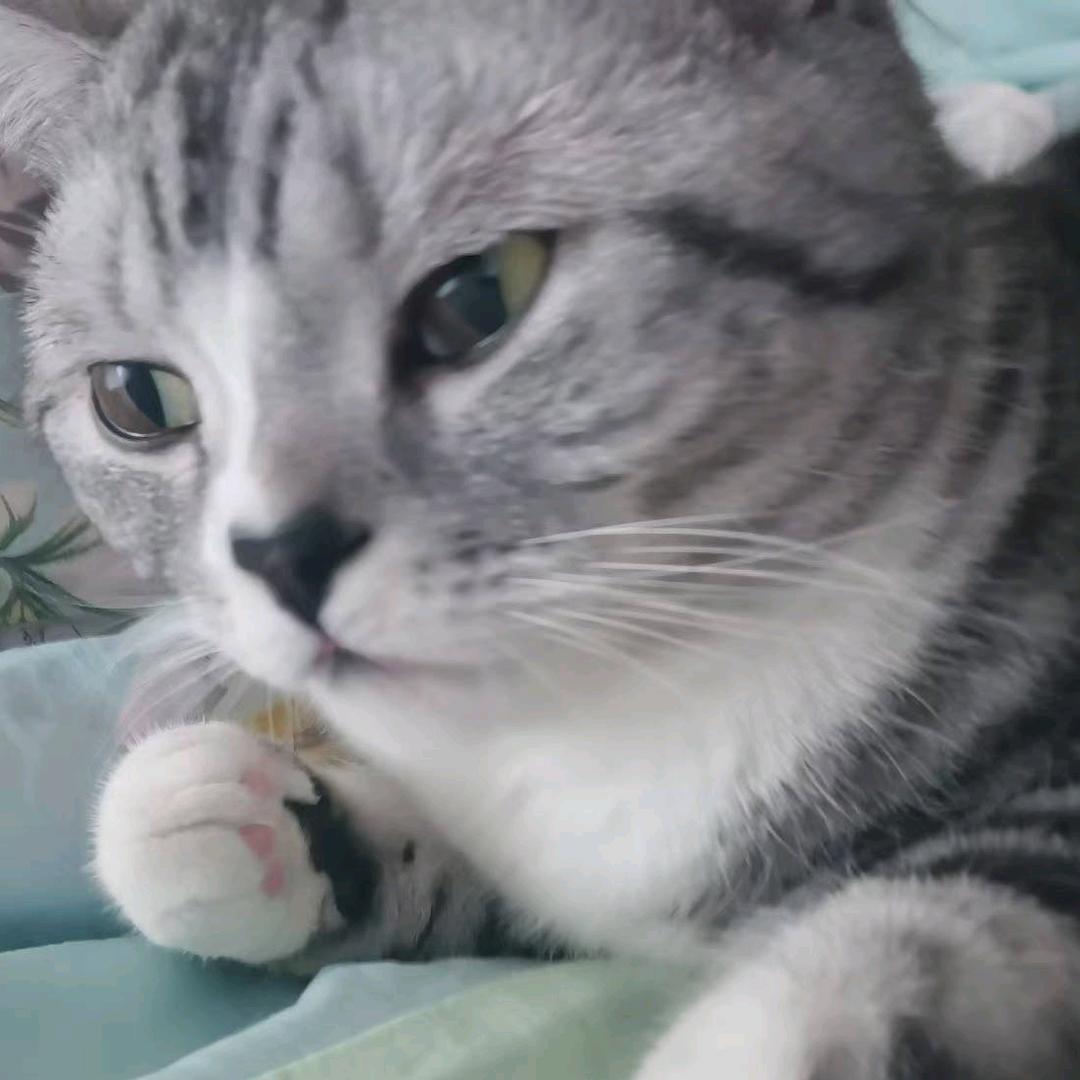 综上所述你是笨蛋