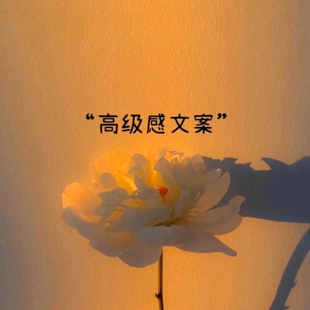 文澜阁（茉莉）