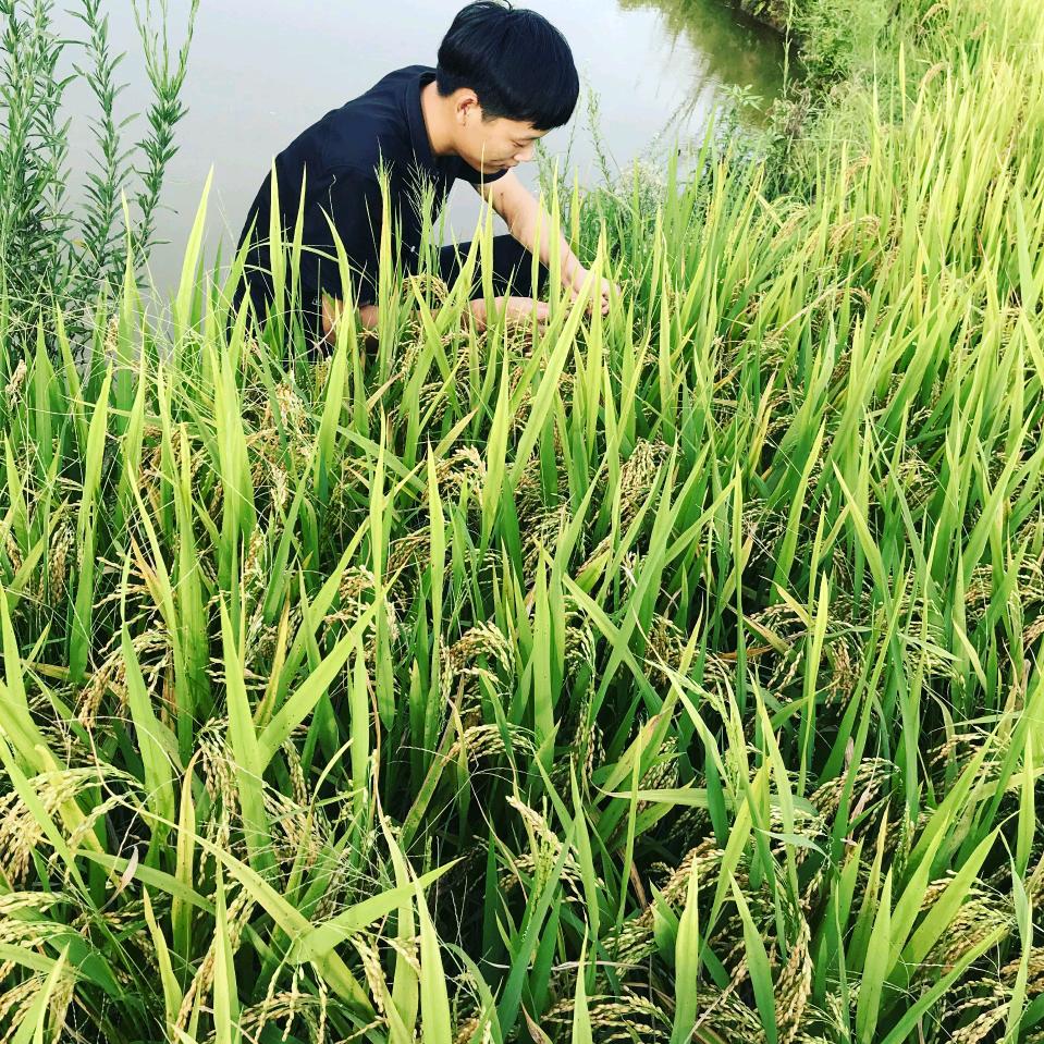 姚先生丶