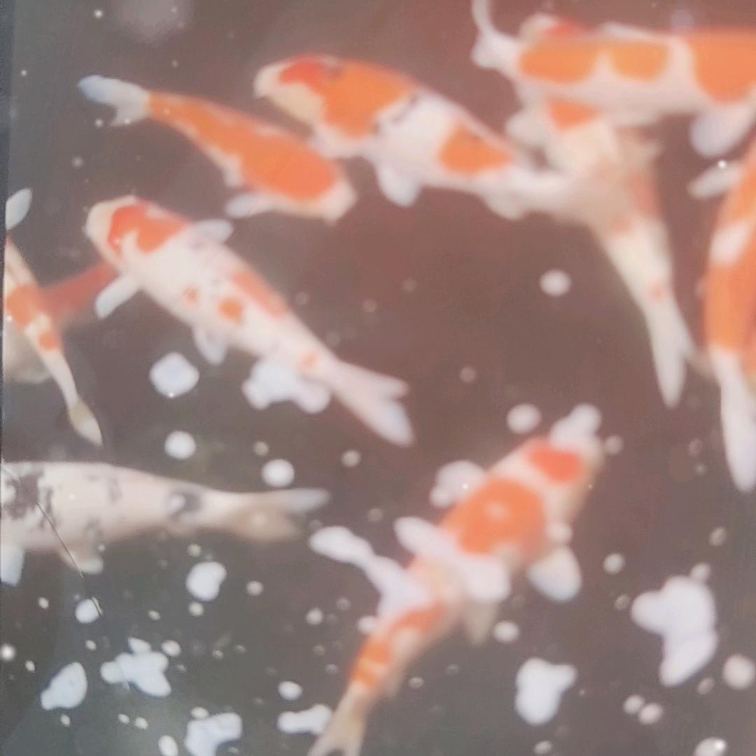 喜韵