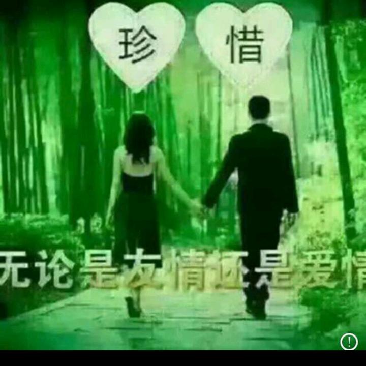 仙人掌
