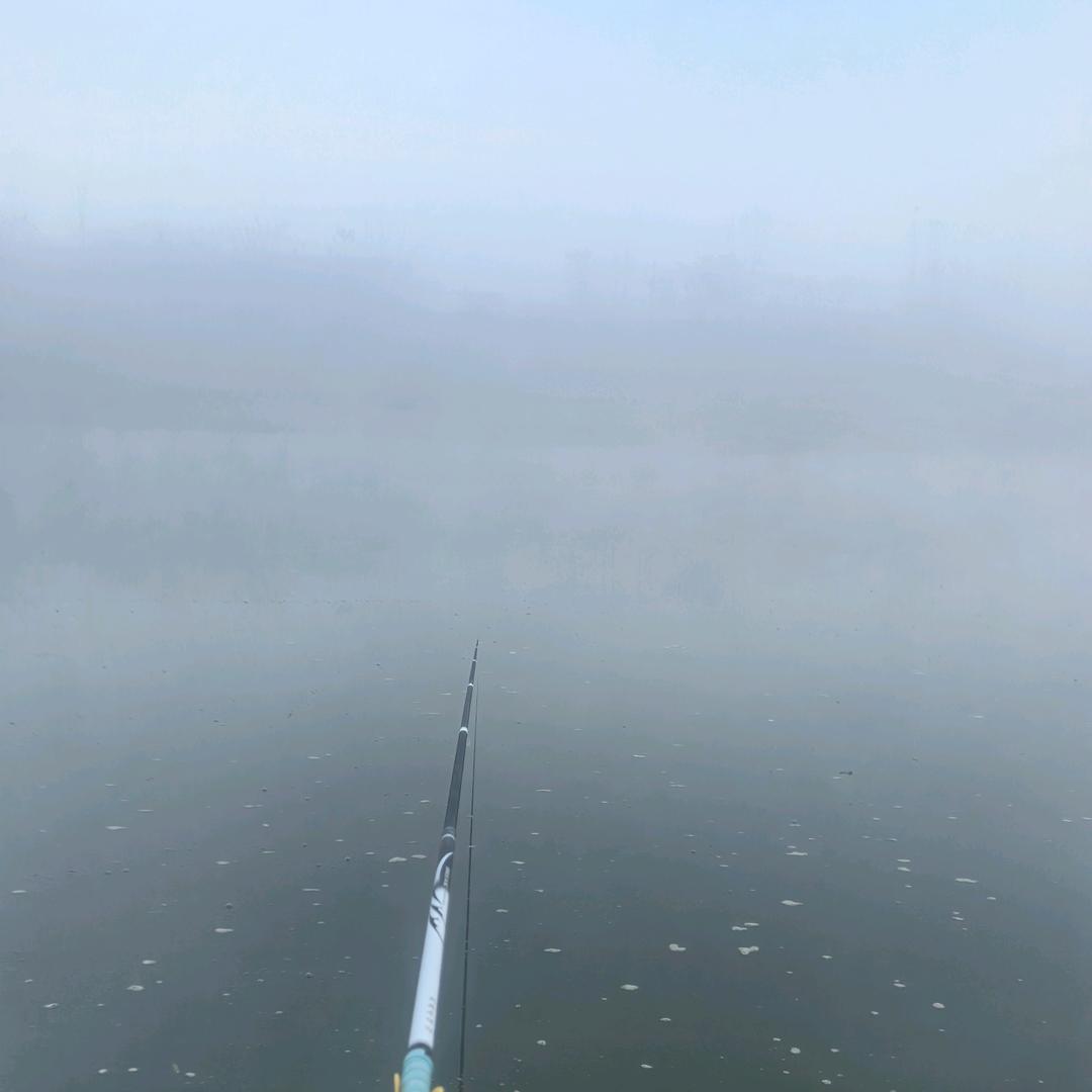 ꧁🥀野钓☞小熊ℒℴѵℯ꧂