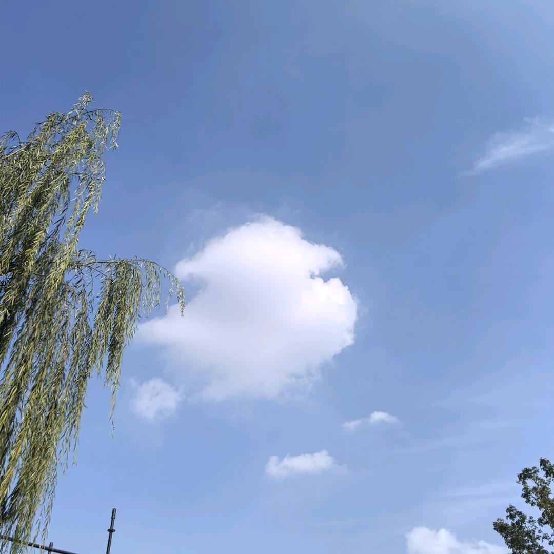 @✐๊๋ؓ張大人