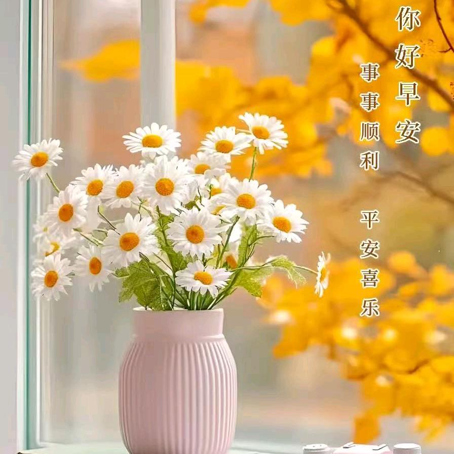 愿在今后的每一天，开心快乐，心想事成