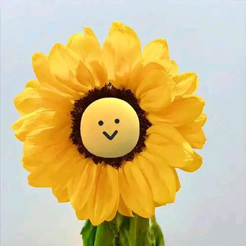 花🌹花