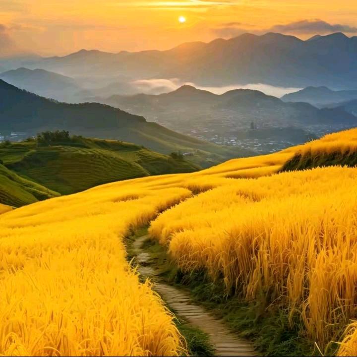 @没烦脑