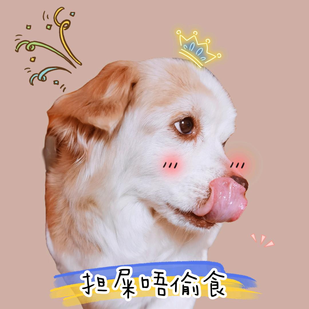 爱吃薯条的薯仔