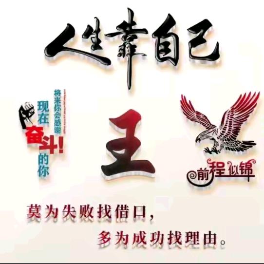 柿柿如意