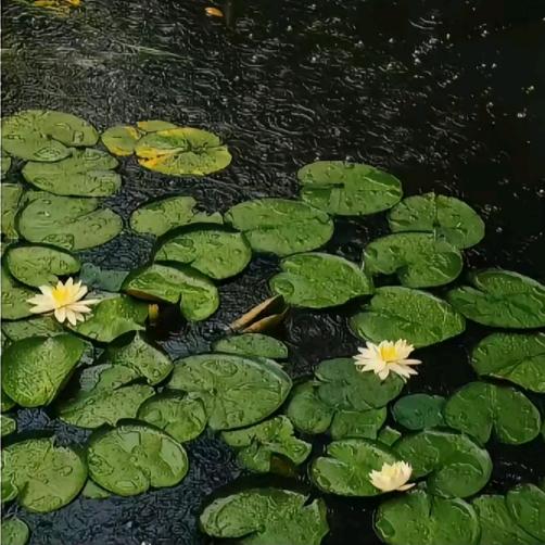 宁远房产--凤凰城--芳芳