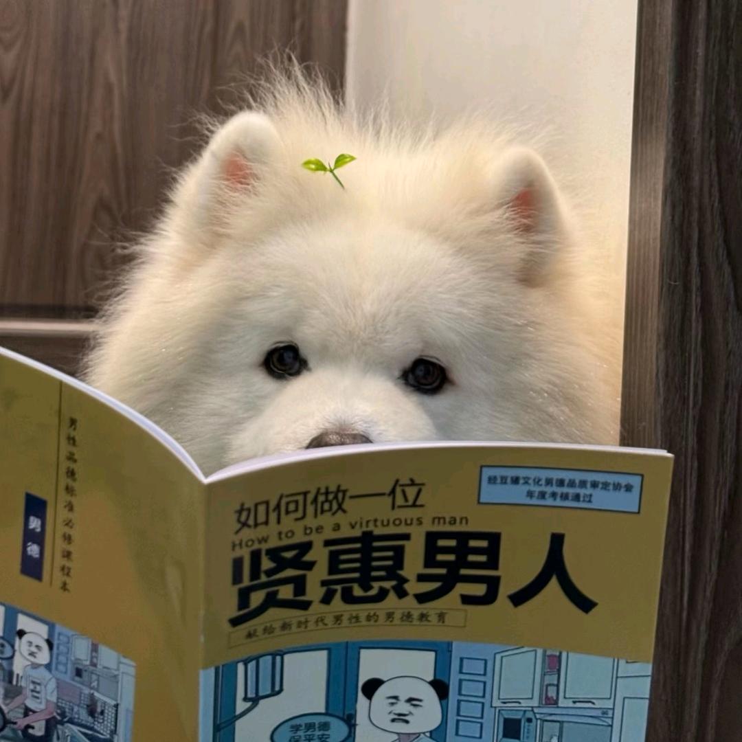 嗷呜呜～🍬