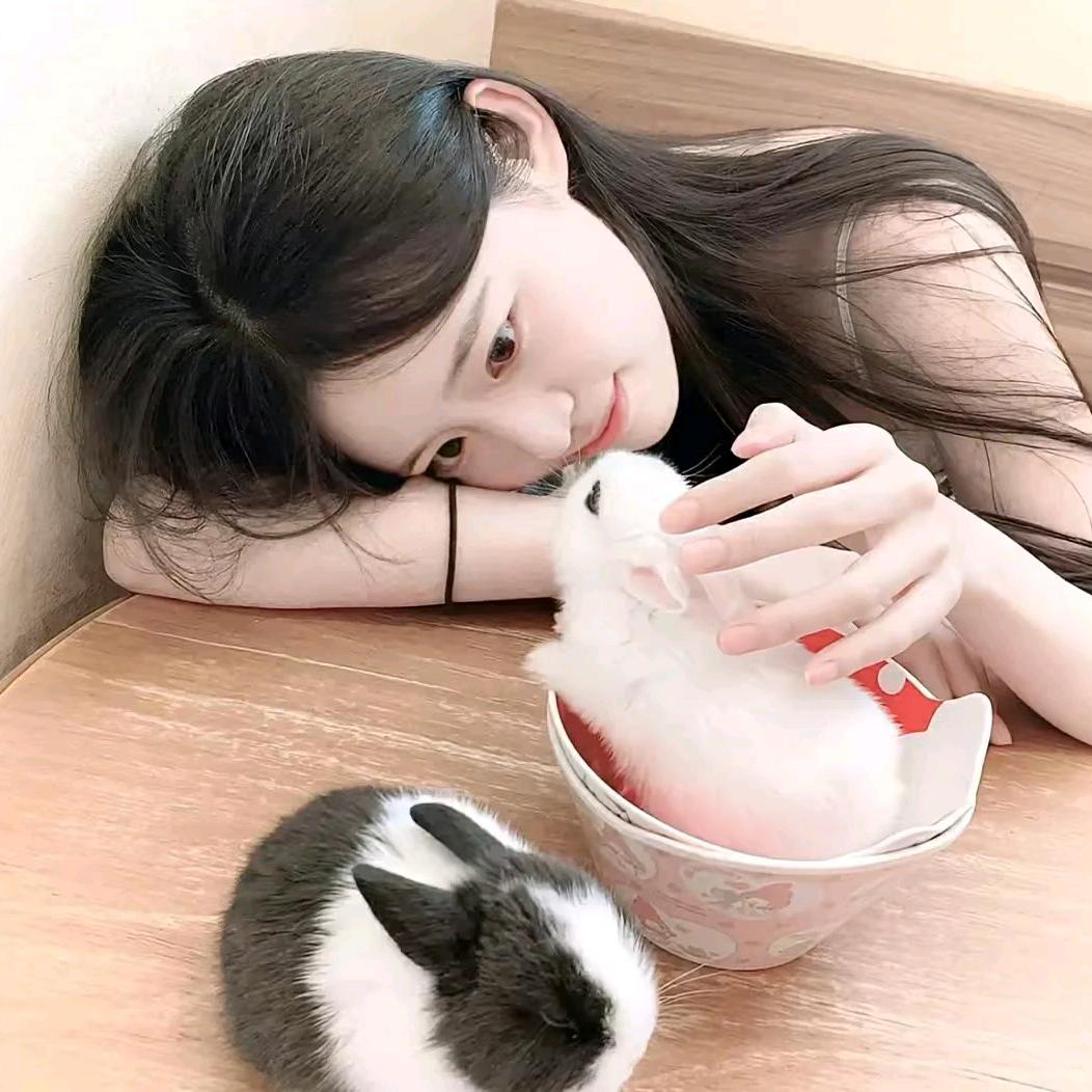 槐栀诉诗忆｜上限凌晨回