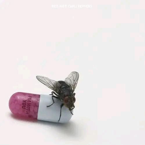 Pink。