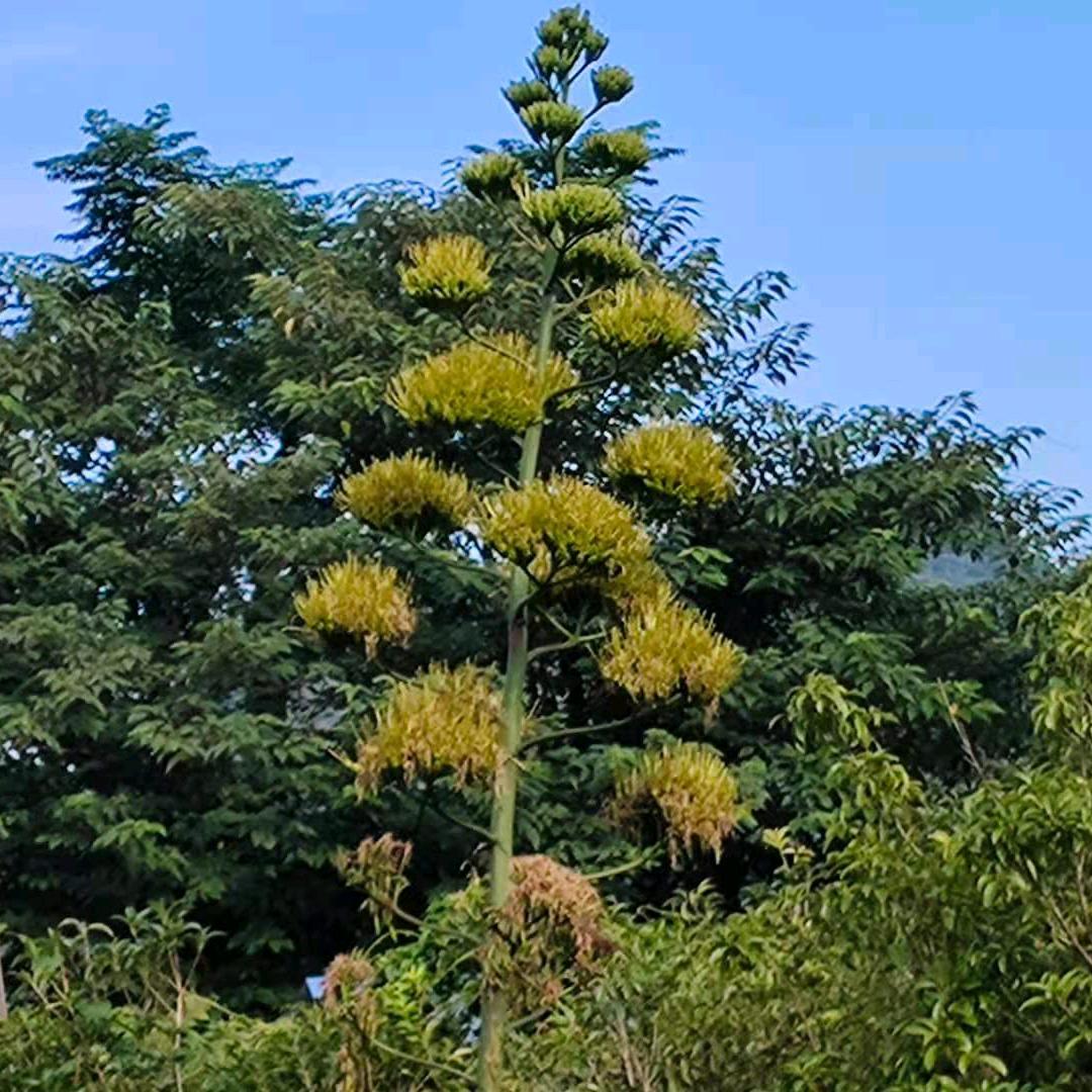 喝酒伤胃，抽烟伤肺