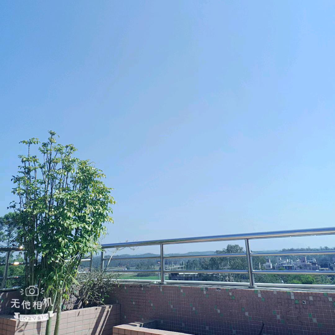 এ᭄ꦿ꯭黎💰℘᭄ᩚ꯭🍀