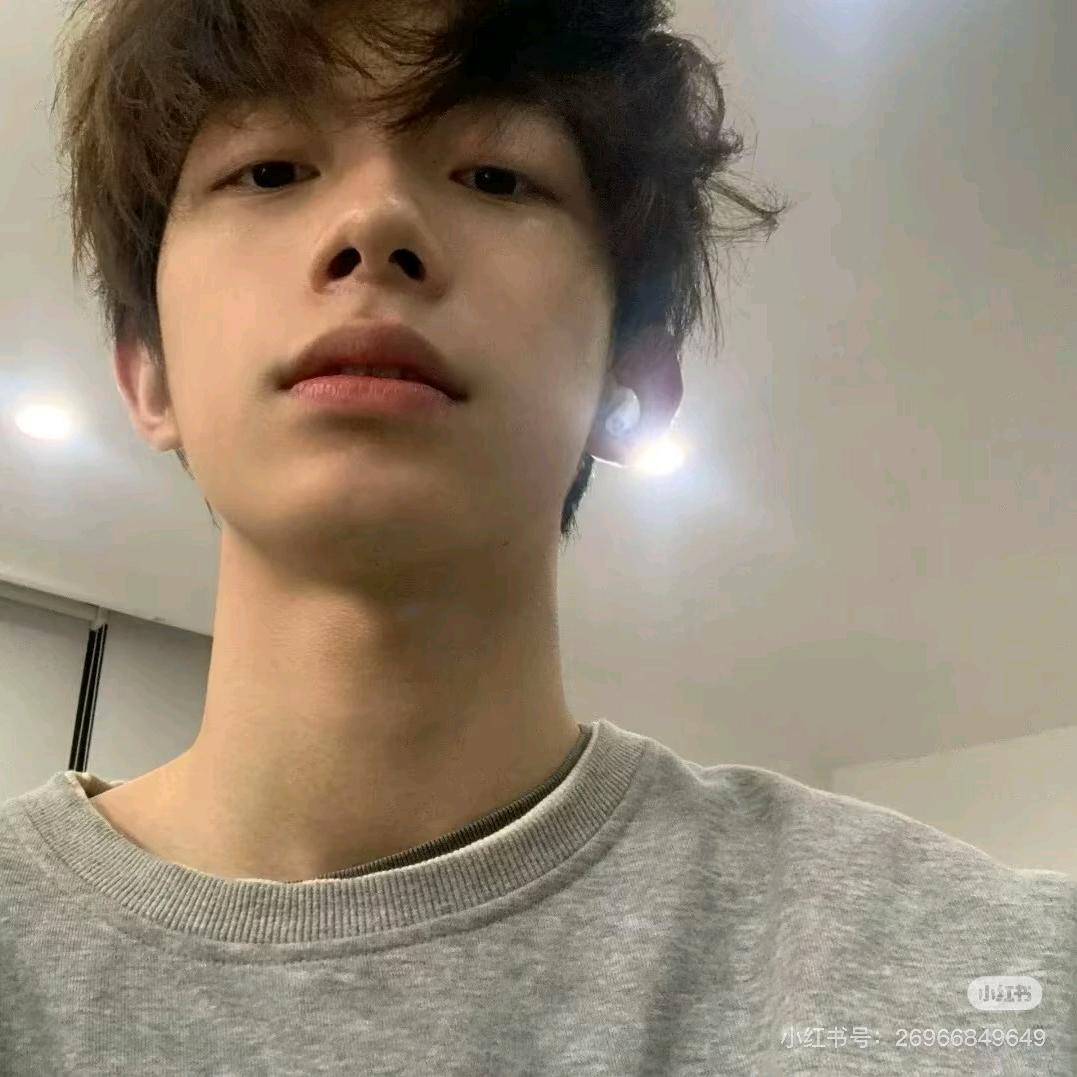 小丁爱樱花🌸