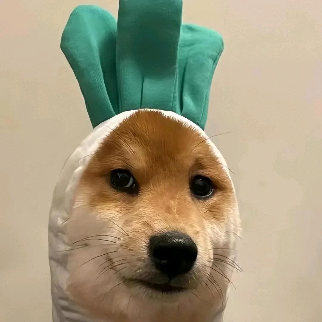 伤心小狗
