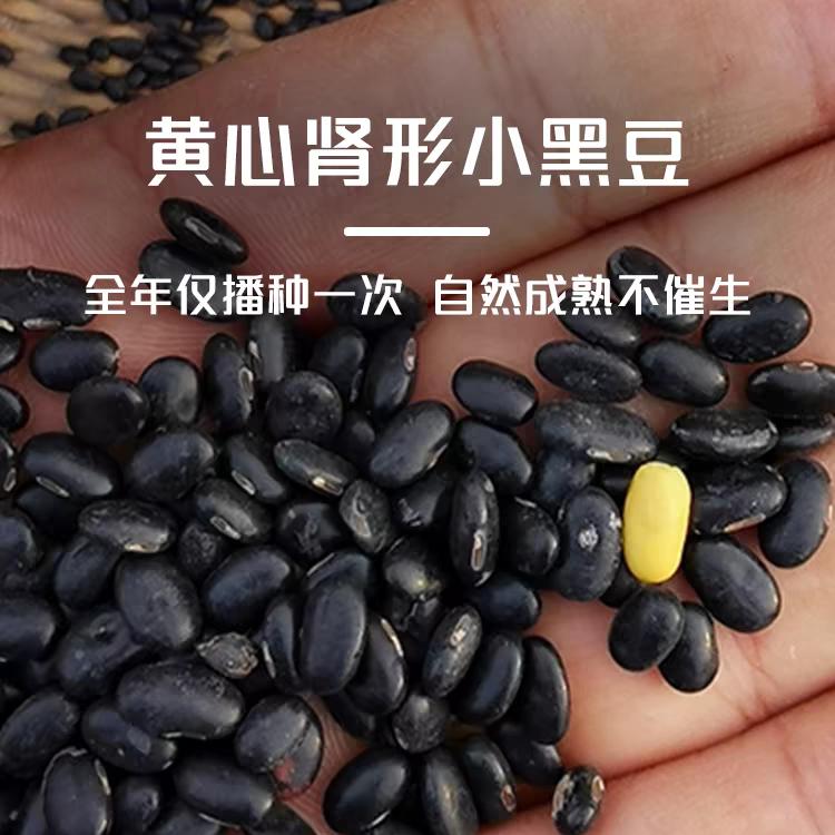 焱煜优选