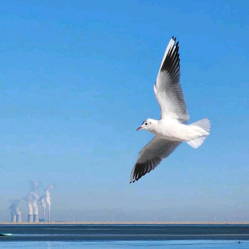 。。。。。。！！