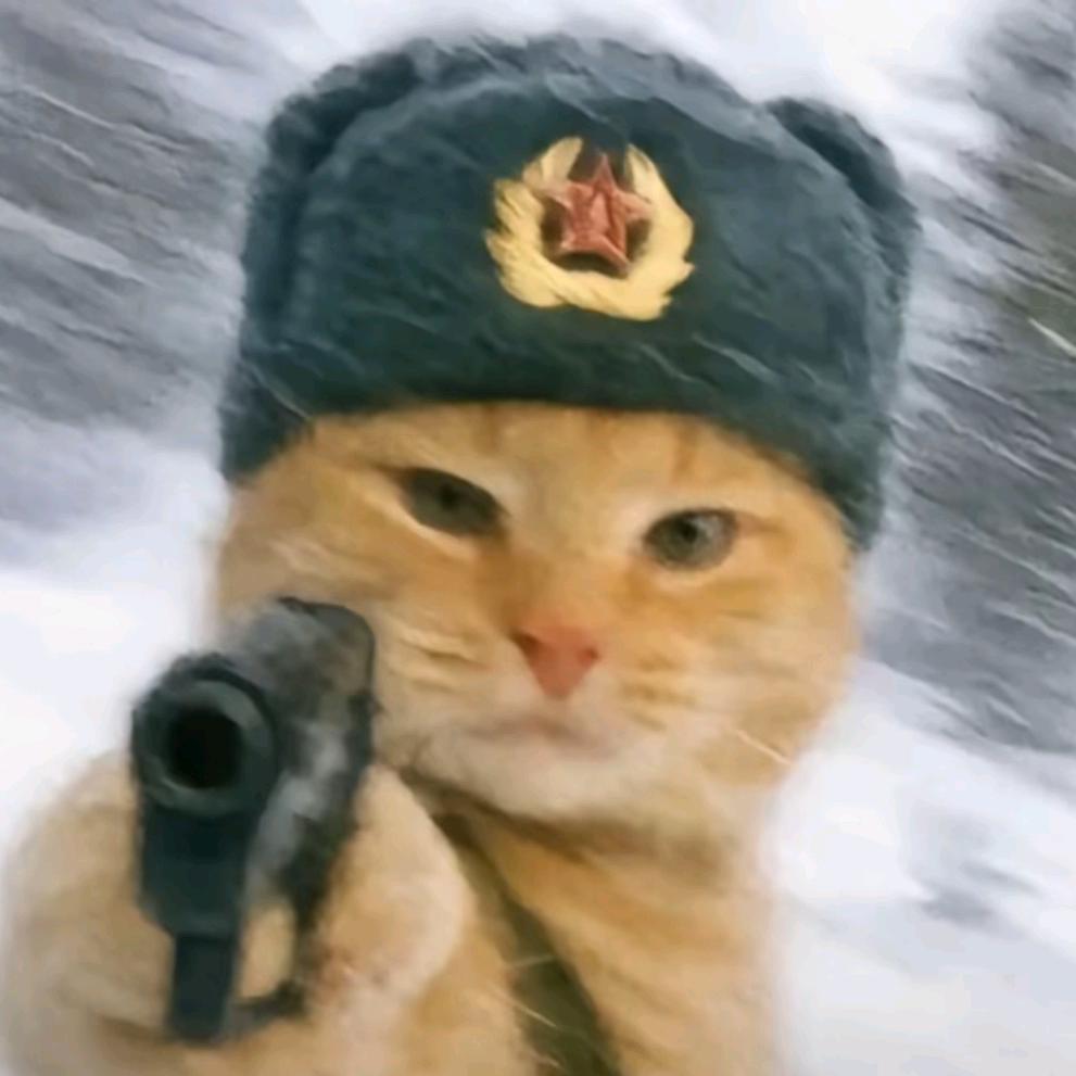 弗营居（只想发财）