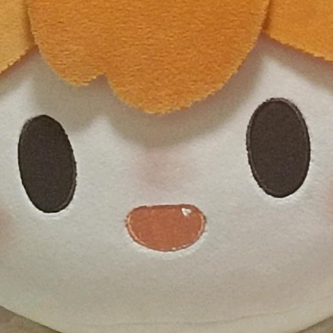 哦。