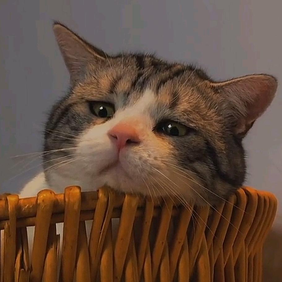 肆.头像
