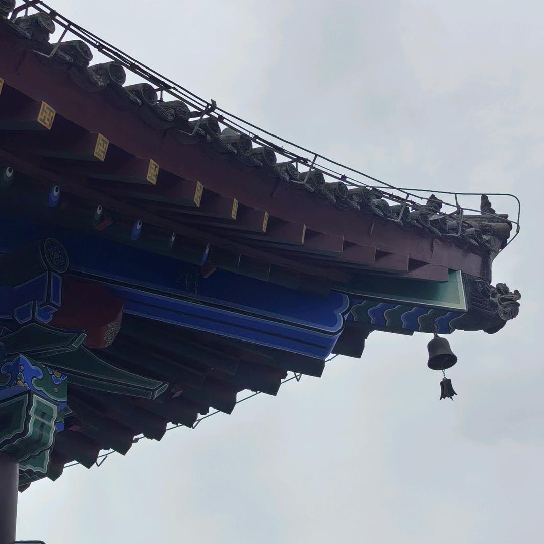 余生静而不争