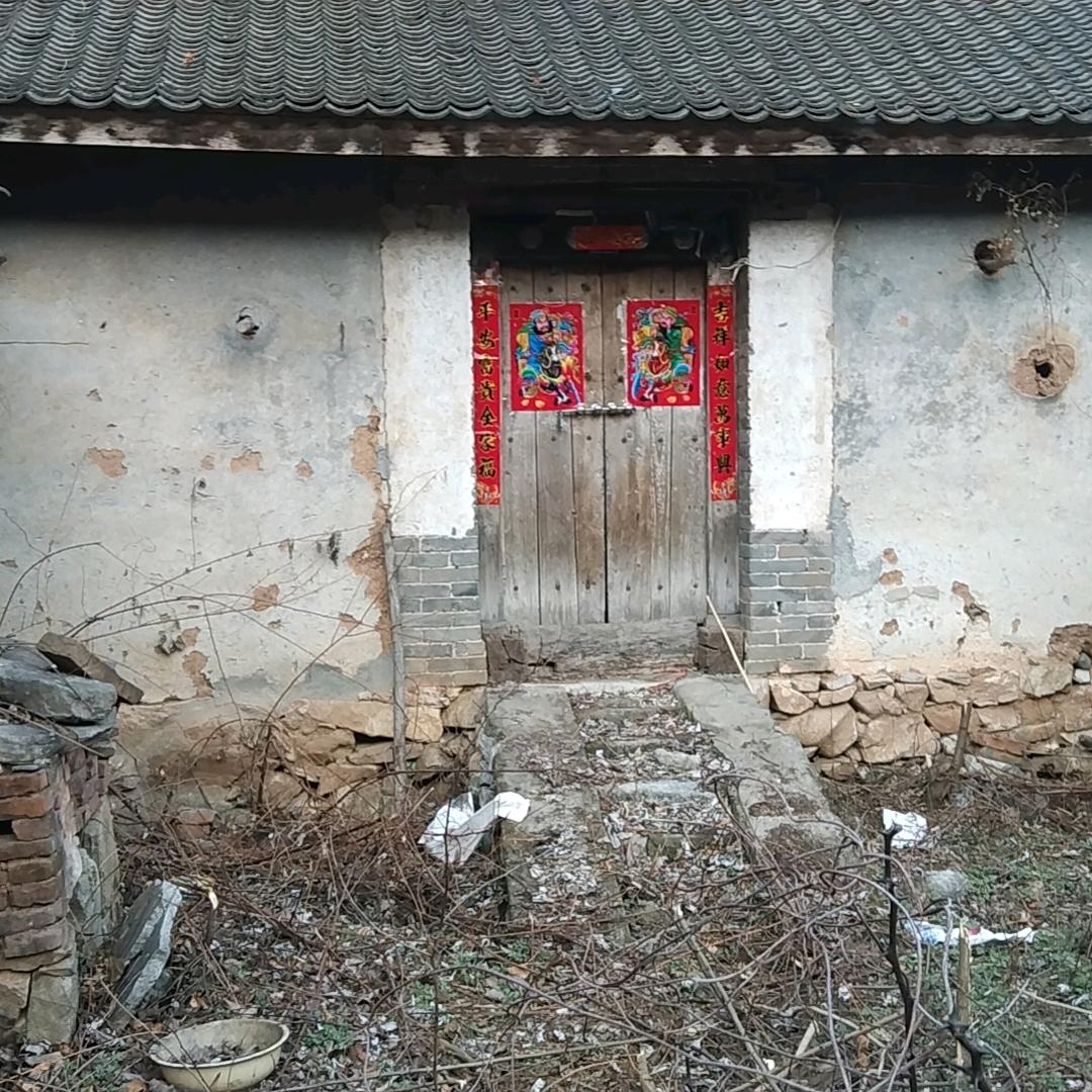 花开半夏独自香