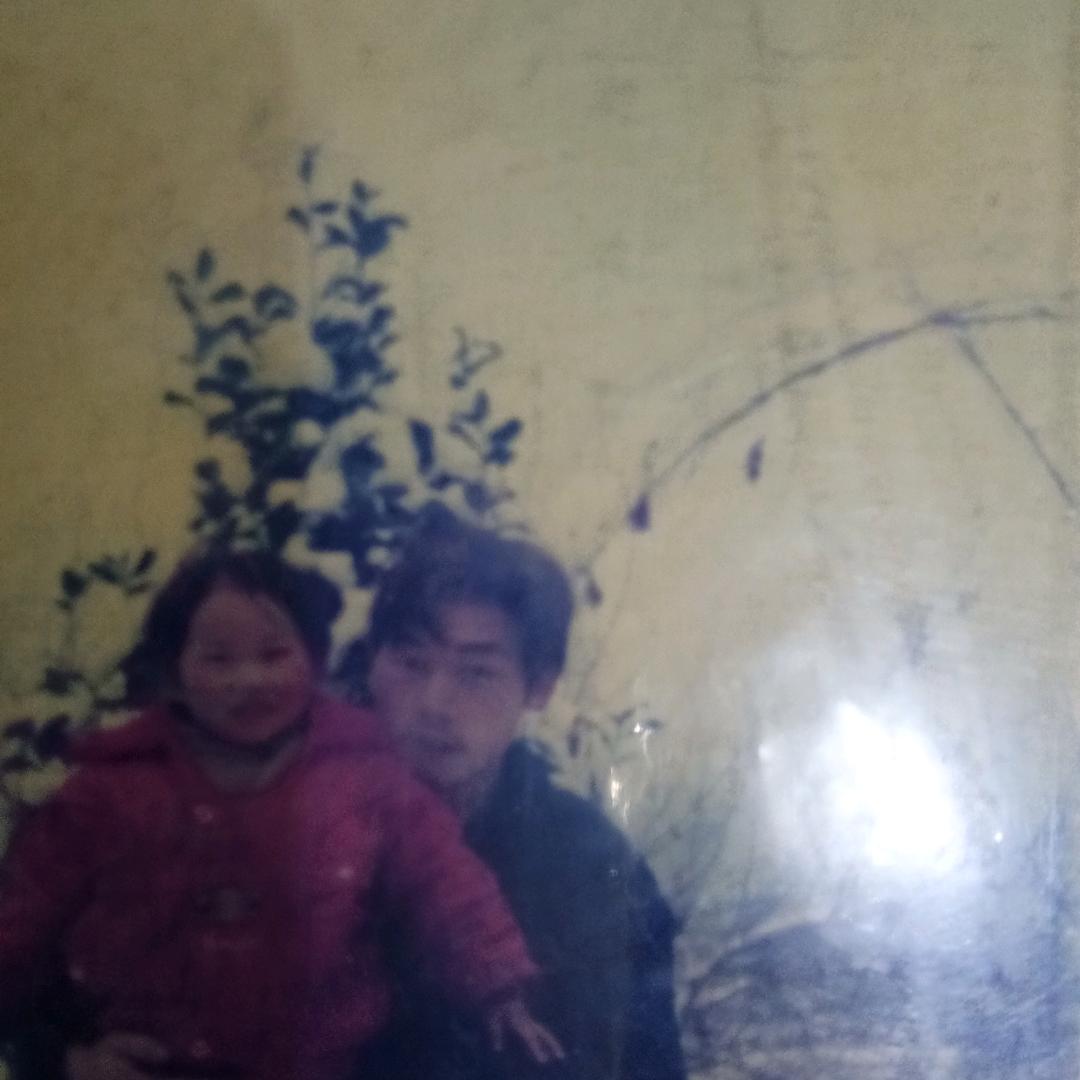 搭毛