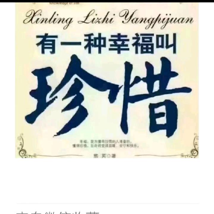 梦断相思情不归