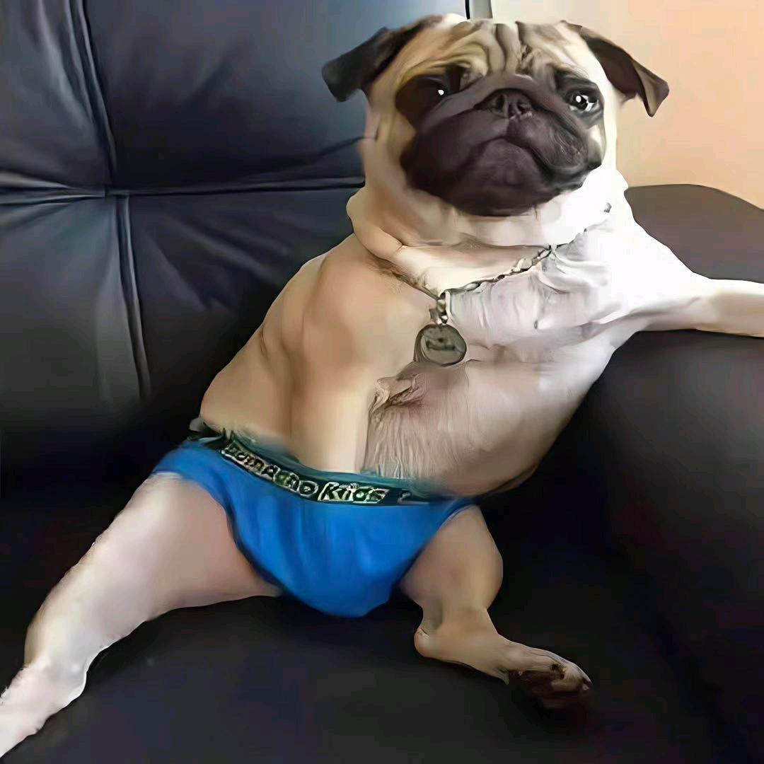 凡凡